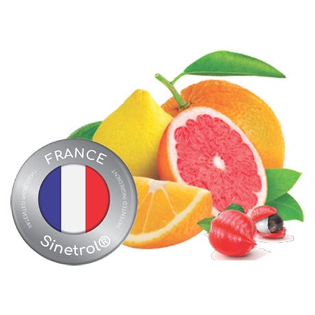 France Sinetrol