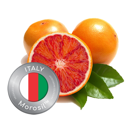 Italy Morosil